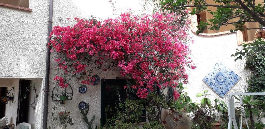 Holiday Home Cala Bianca Castellammare del Golfo Zewnętrze zdjęcie